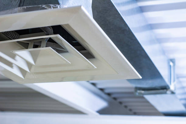 Best Air Duct Sanitizing Services  in Warr Acres, OK